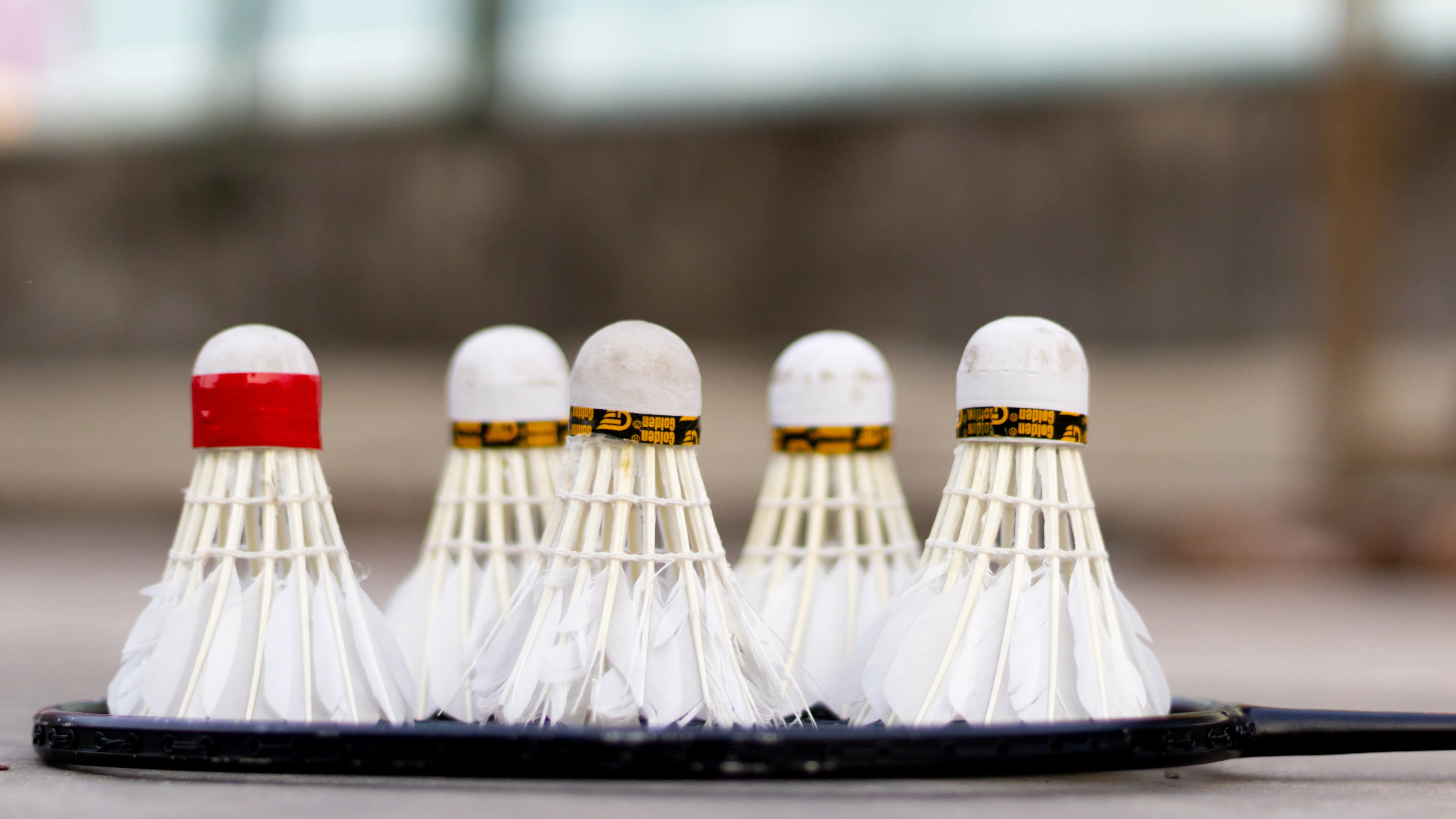 Relax with a Game of Badminton